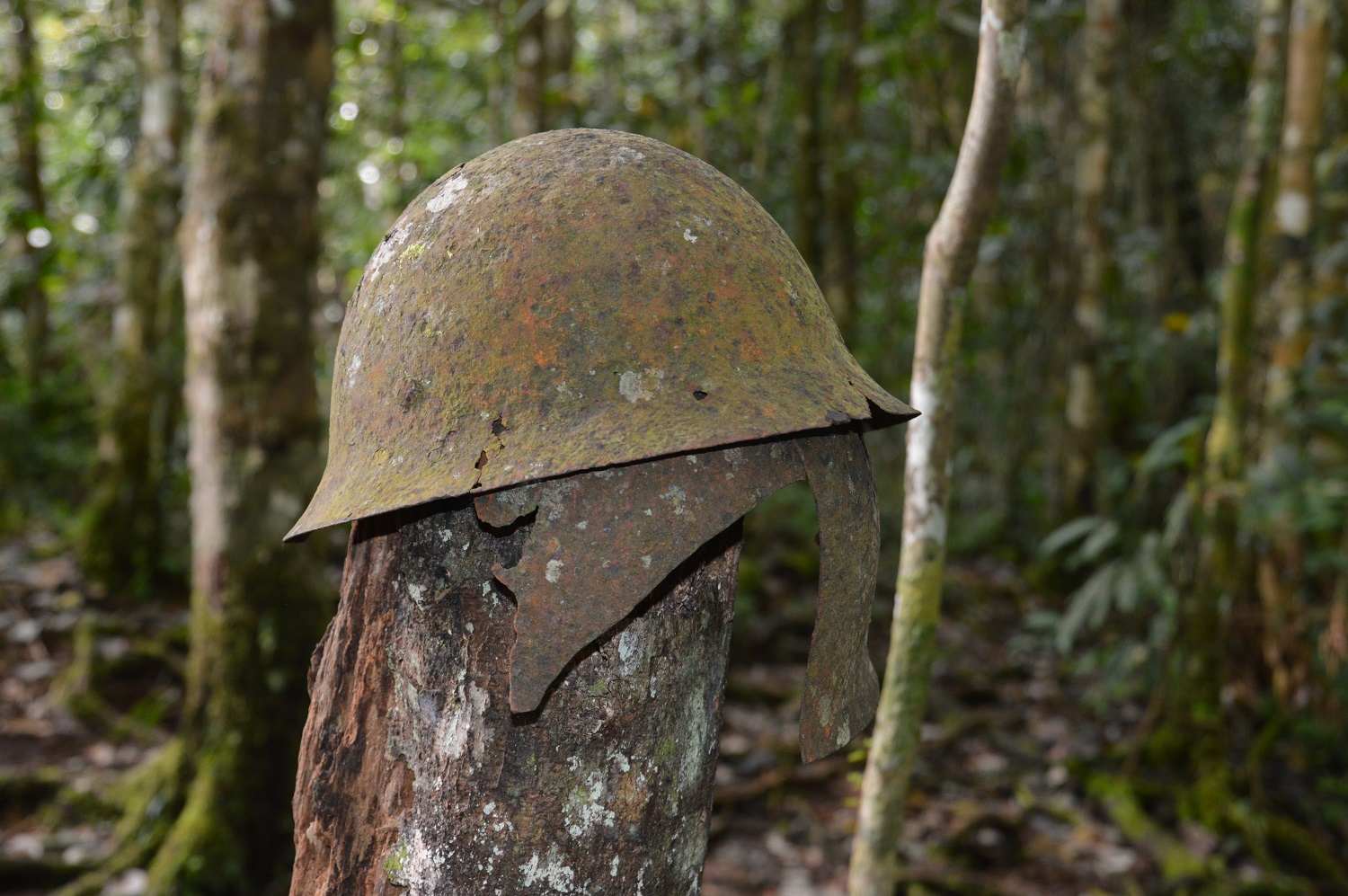 Relics From The Past Can Be Found Along The Kokoda Track Relics From The Past Can Be Found Along The Kokoda Track