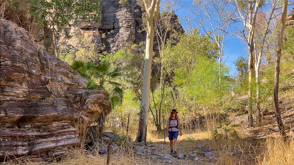 Top Treks Top Treks